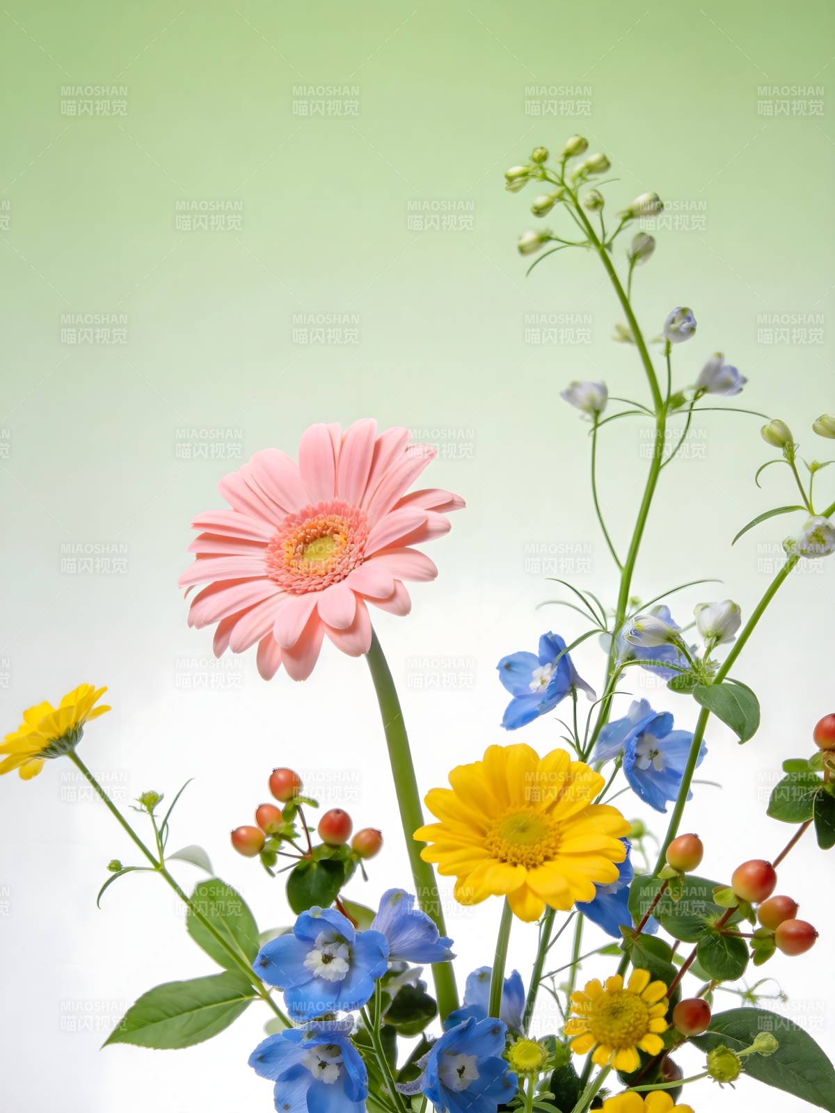 春日花束 色彩斑斓生机盎然图片