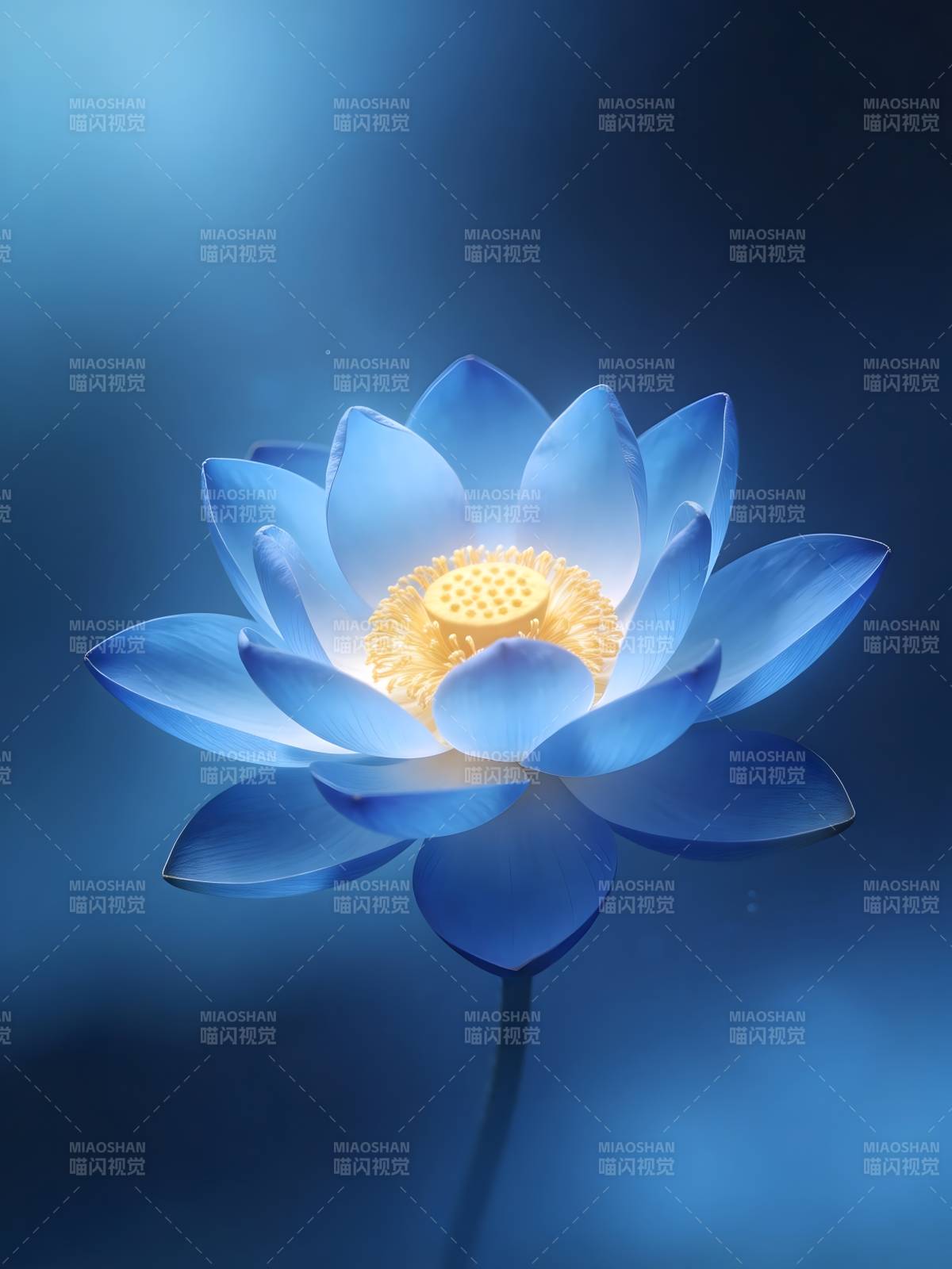 蓝莲绽放 光耀心间图片