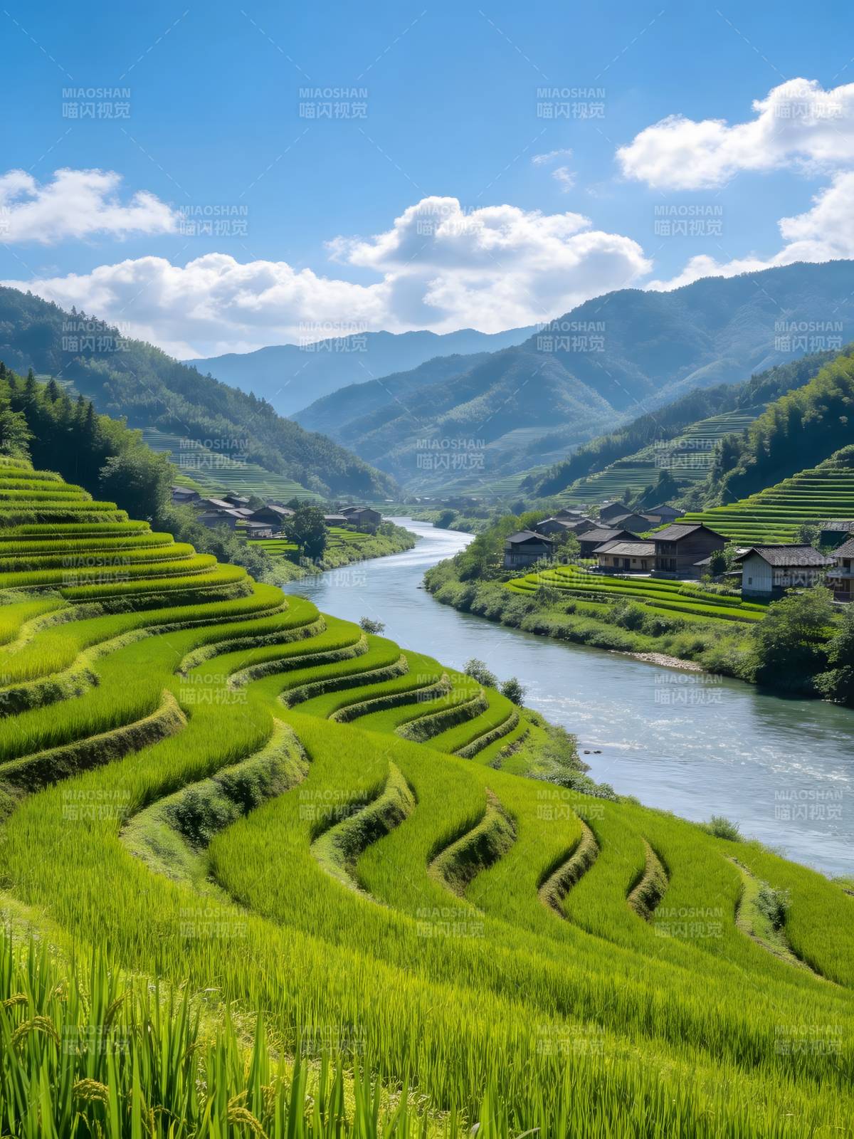 青山绿水梯田美图片