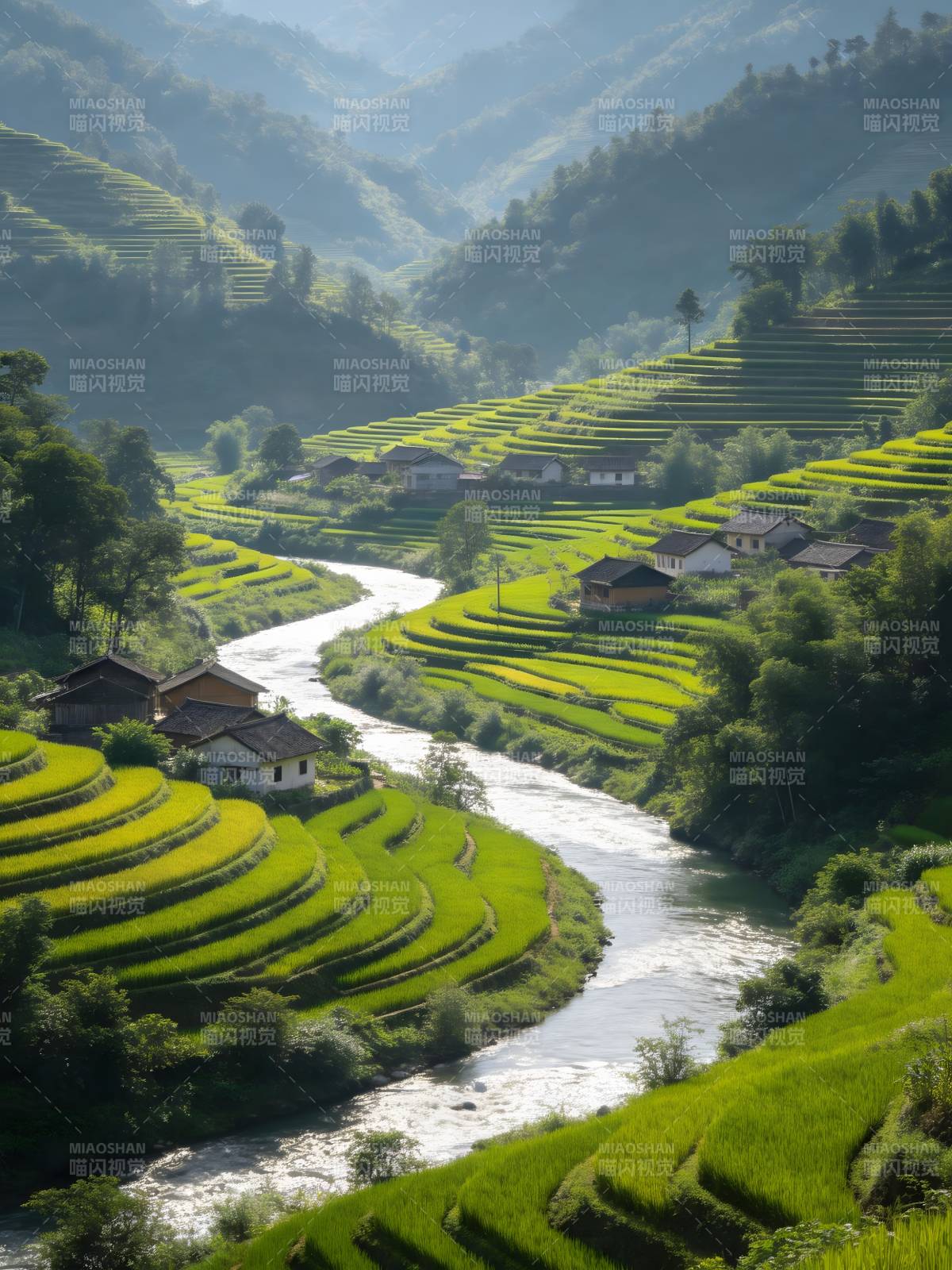 青山绿水绕梯田村落图片