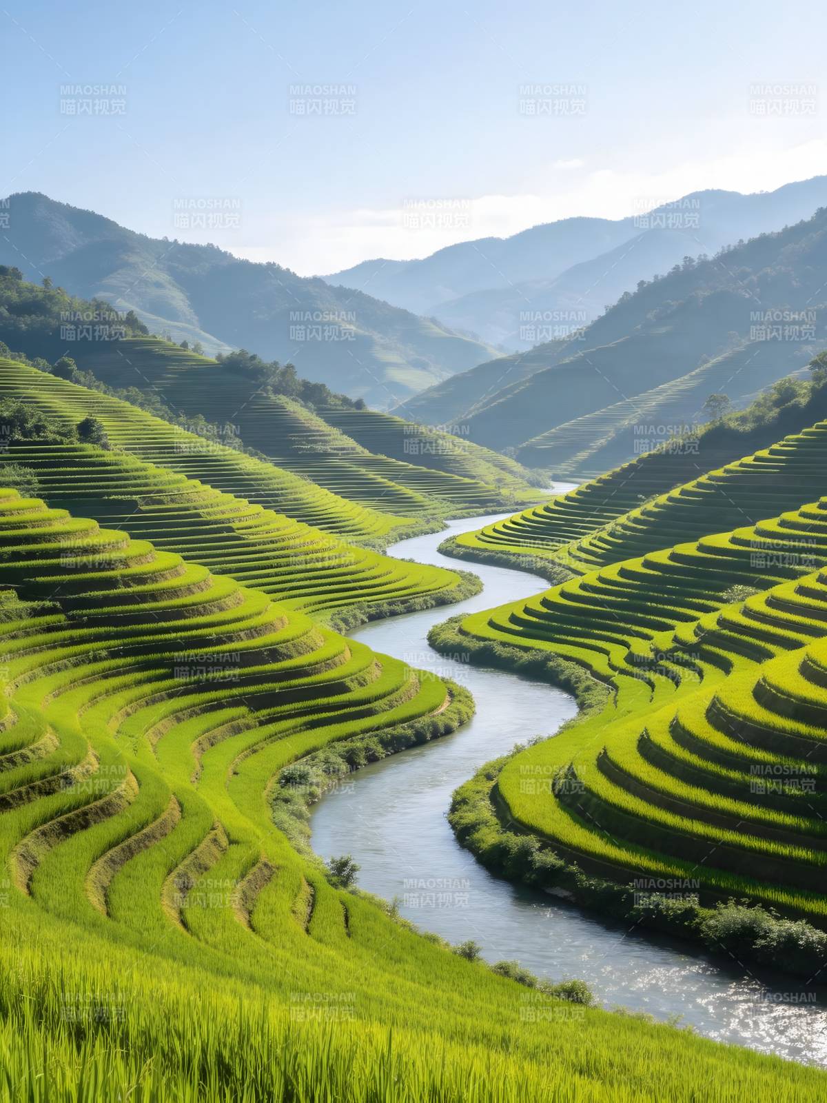 青山梯田绕碧流图片
