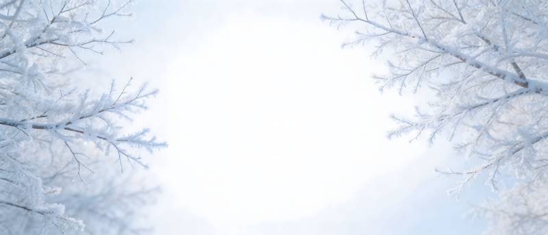 雪覆枝头 冬日静美图片