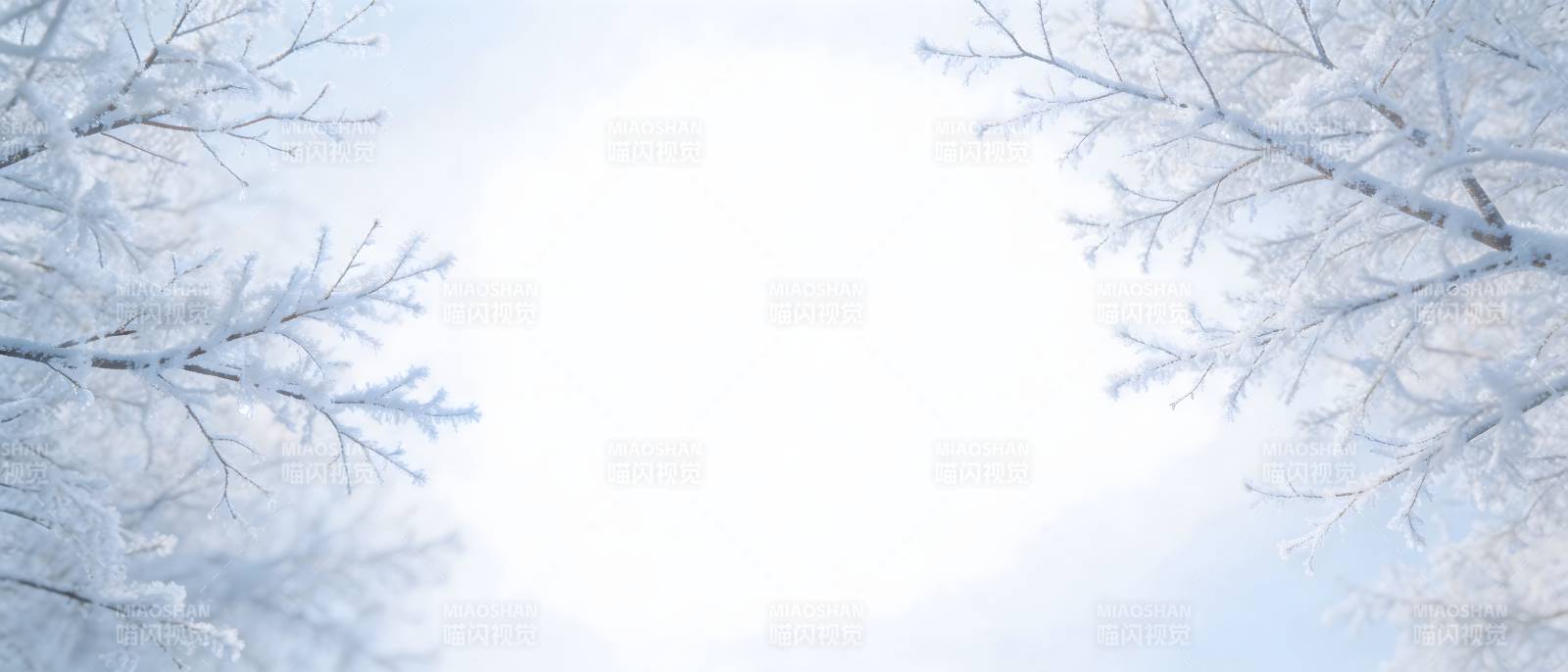 雪覆枝头 冬日静美图片