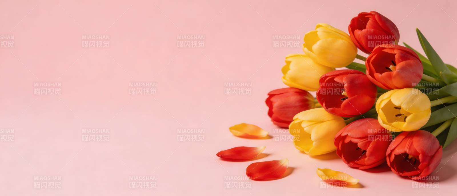 红黄郁金香粉背景花束图片