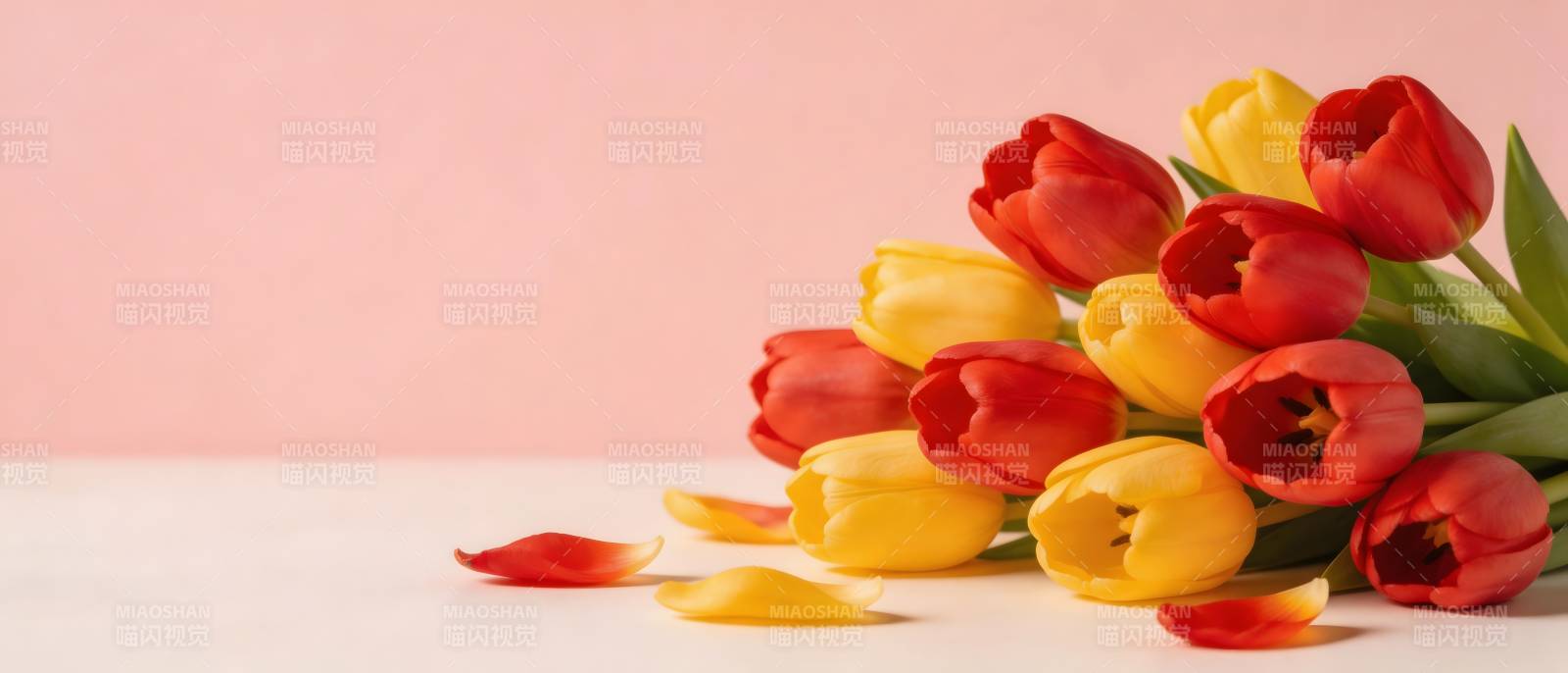红黄郁金香 春日浪漫礼图片