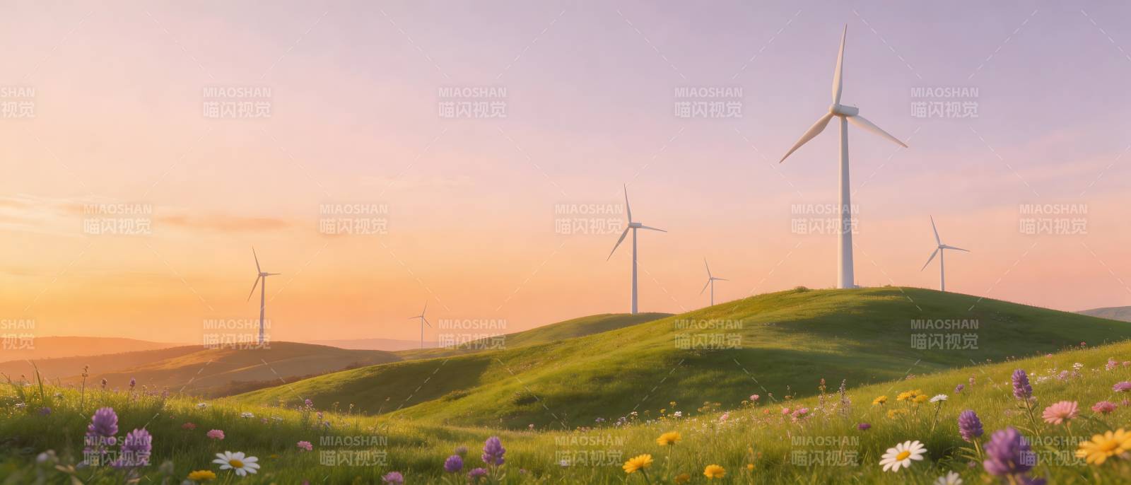 风车花海 夕阳如画图片