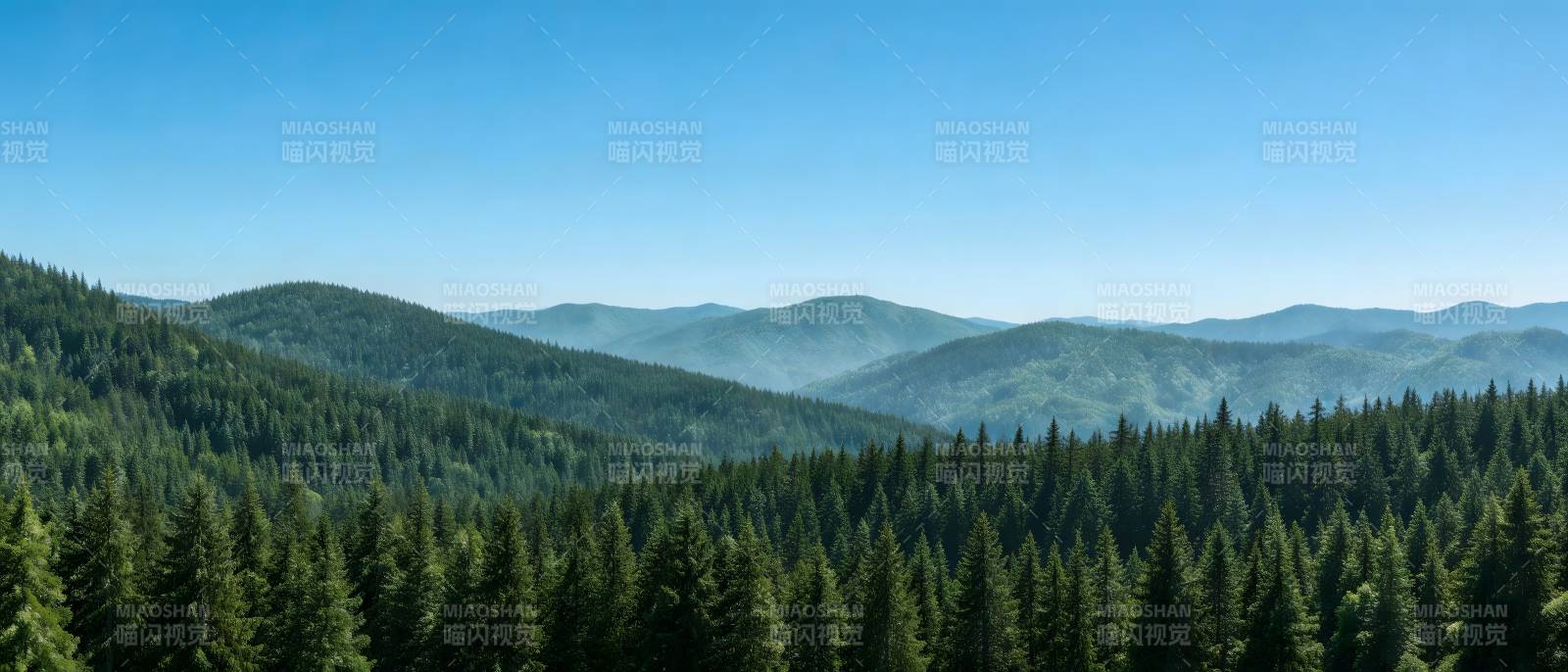 青山叠翠 林海无垠图片