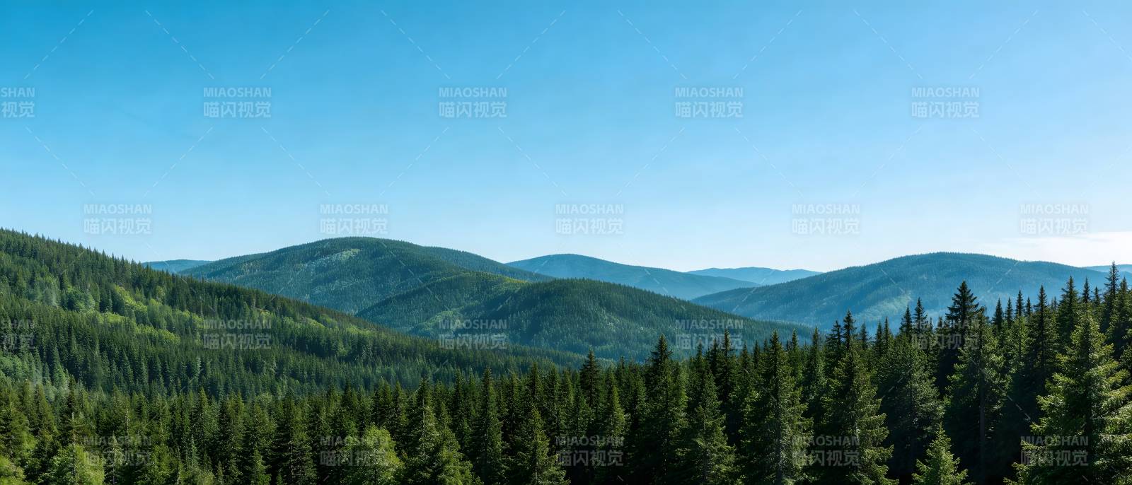 青山叠翠 松林映蓝天图片