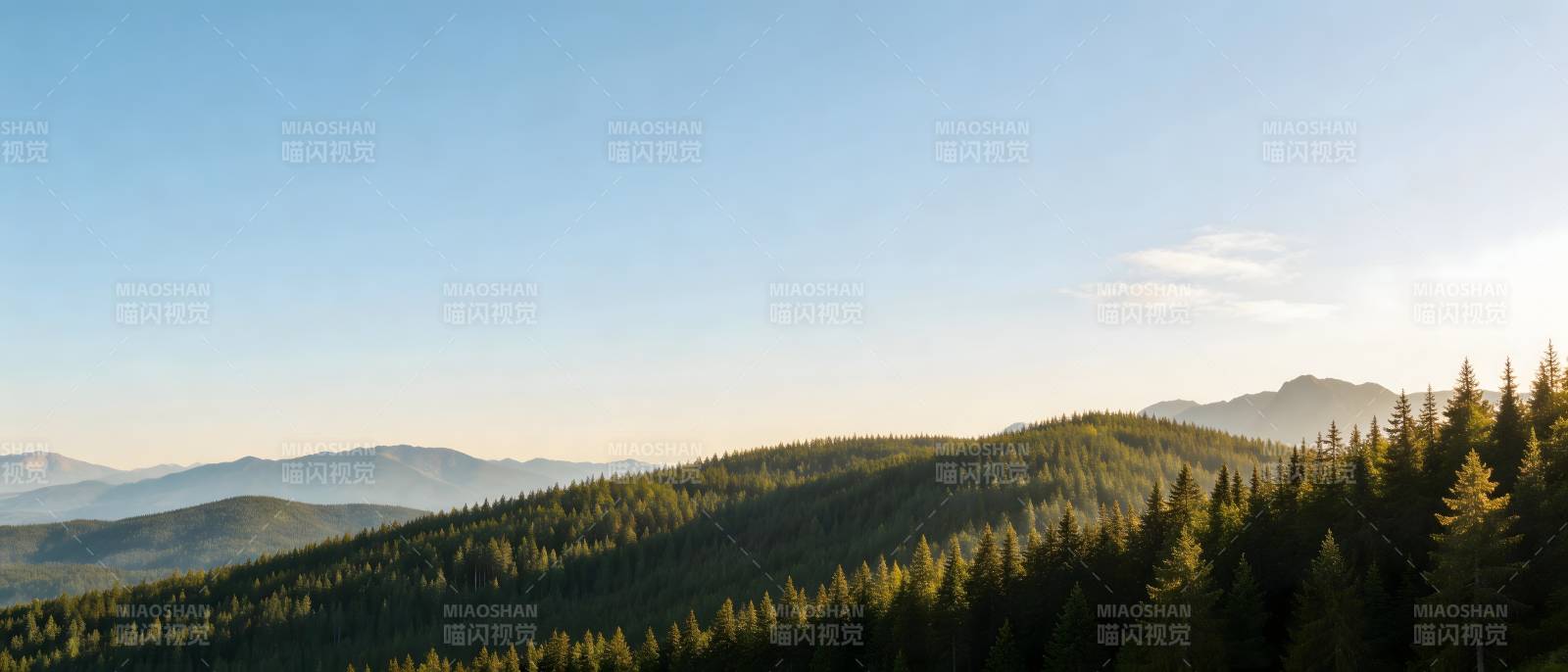 青山叠翠 林海无垠图片