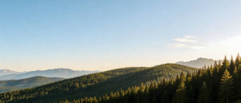 青山叠翠 林海无垠图片