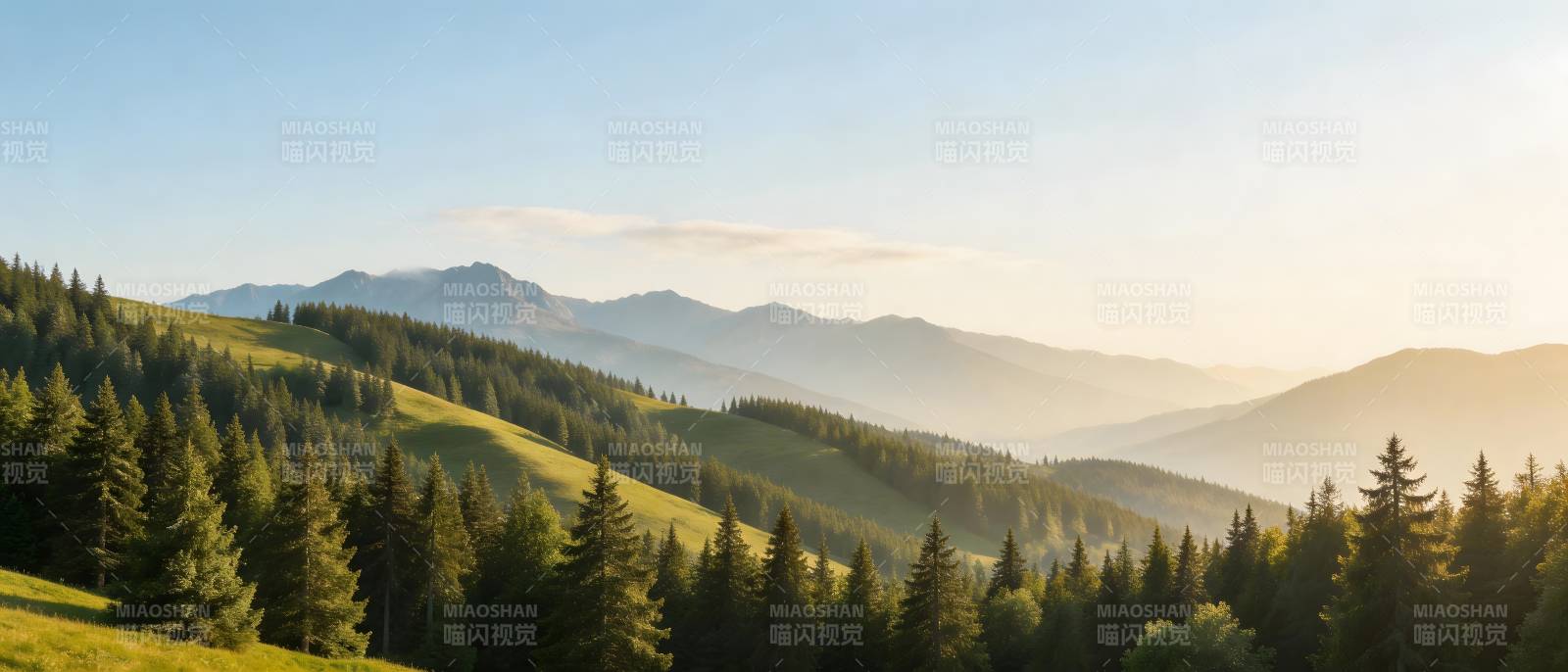 青山叠翠 晨光沐林图片