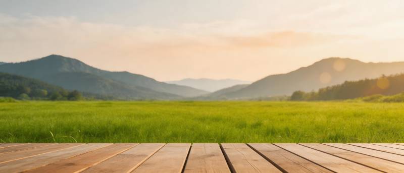 青山绿野 木台迎晨光图片