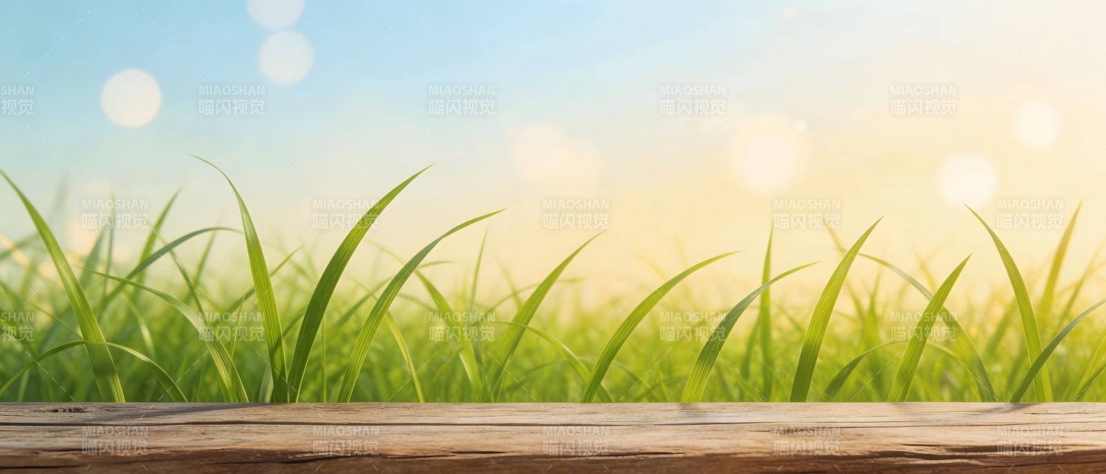 绿草如茵 木台迎晨光图片