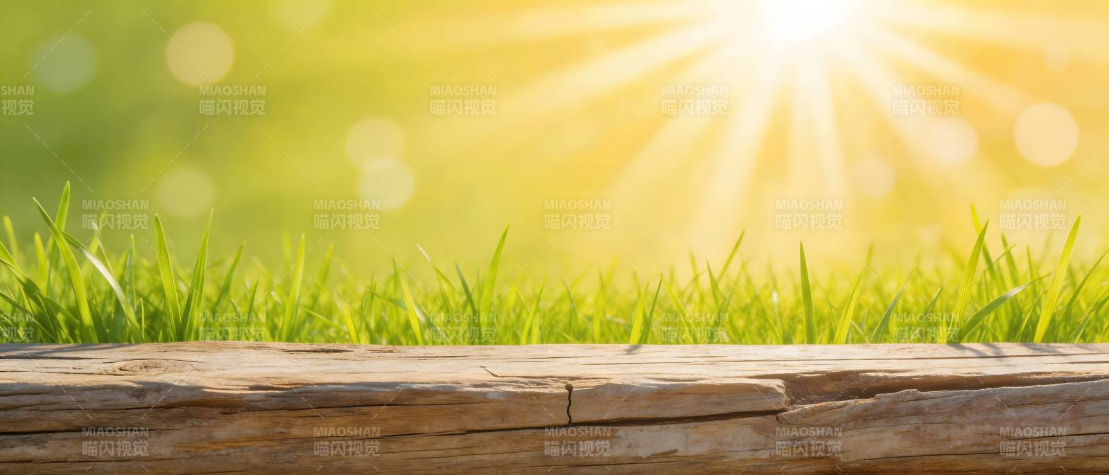 阳光草地木桌景图片