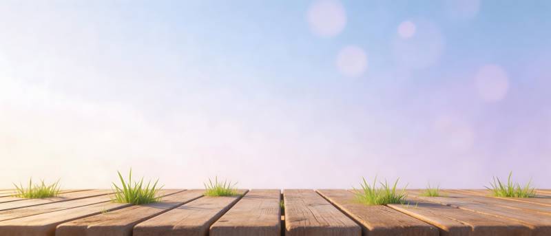 木台草影 晴空如梦图片