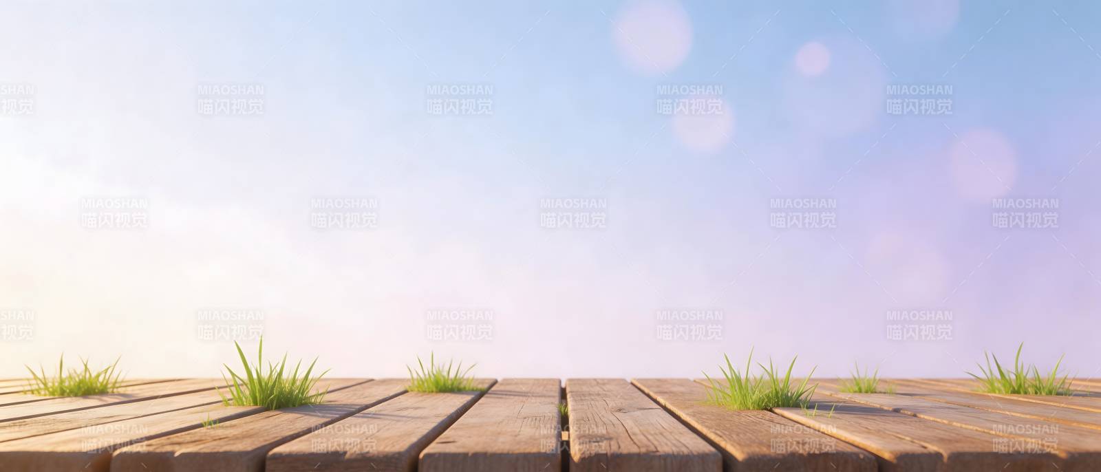 木台草影 晴空如梦图片