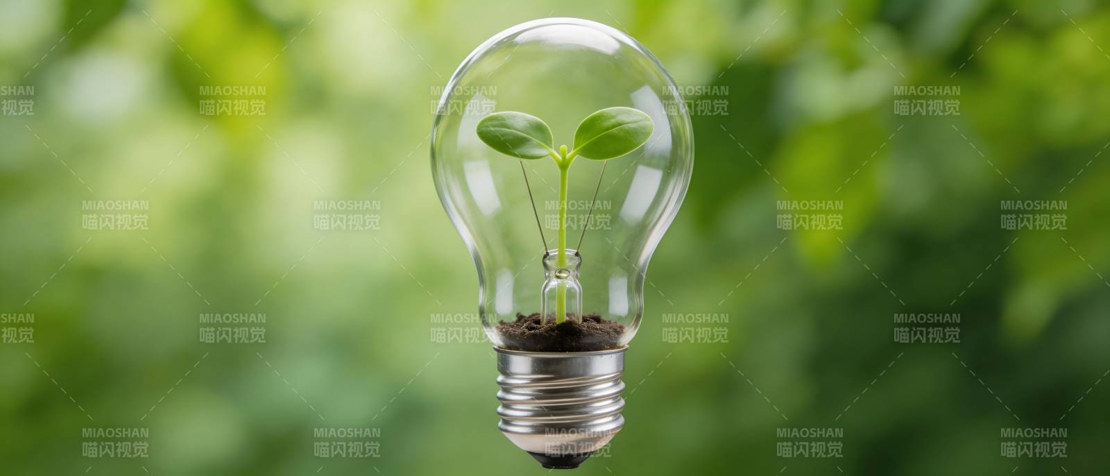灯泡里长出绿芽 象征绿色能源图片