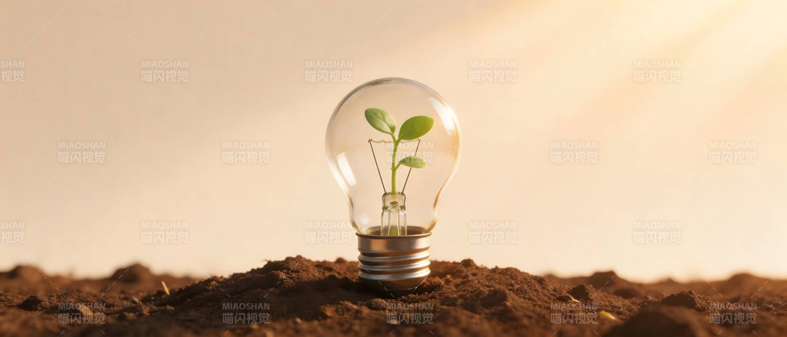 灯泡里长出绿芽 象征希望与新生图片