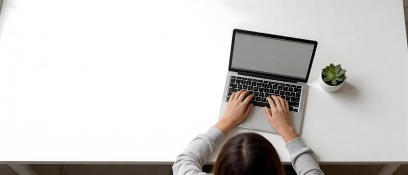 桌上敲键盘 旁有小绿植图片