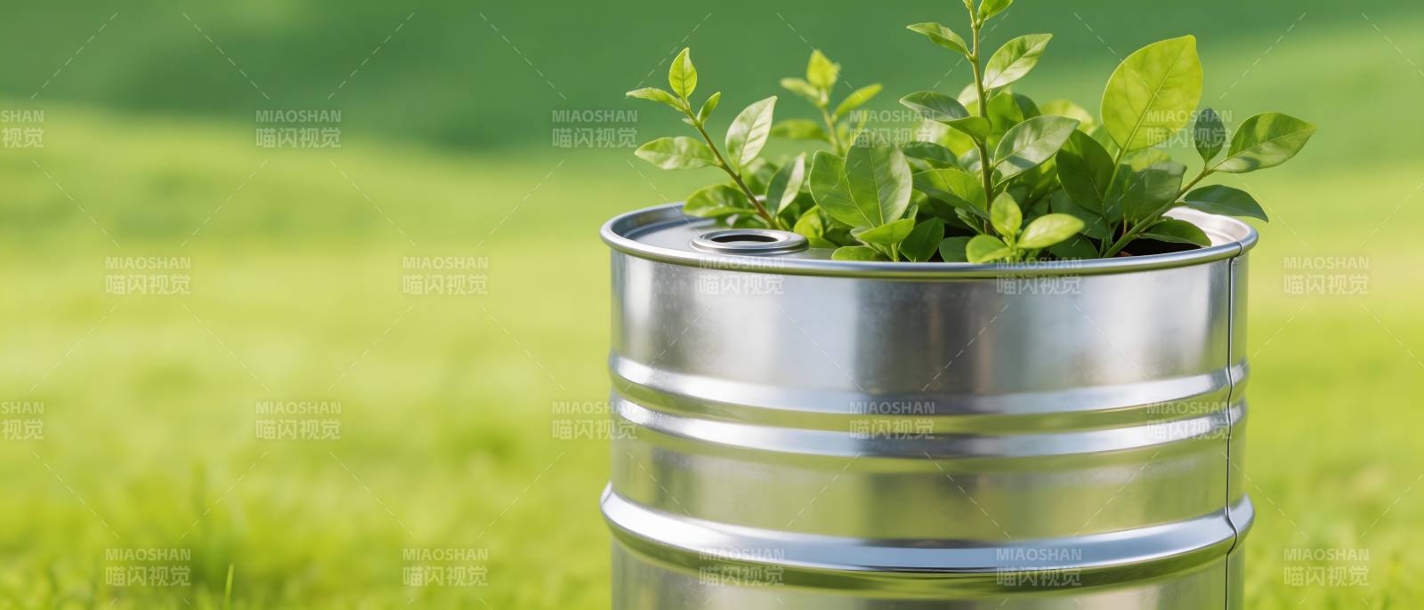 绿芽破桶 生机盎然图片