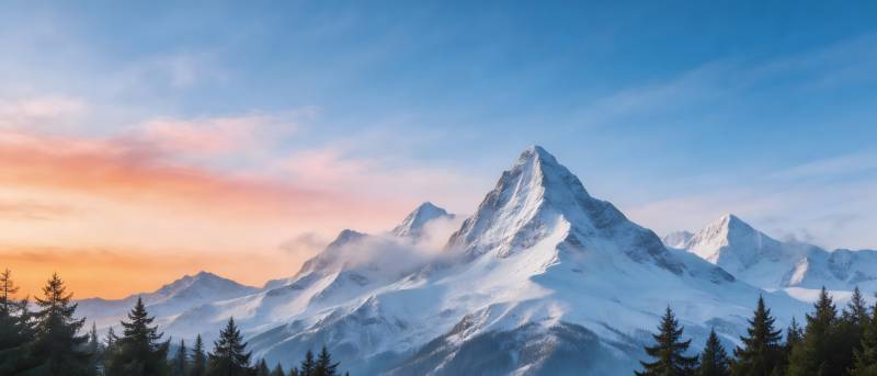 雪山晨曦 松林映霞光图片