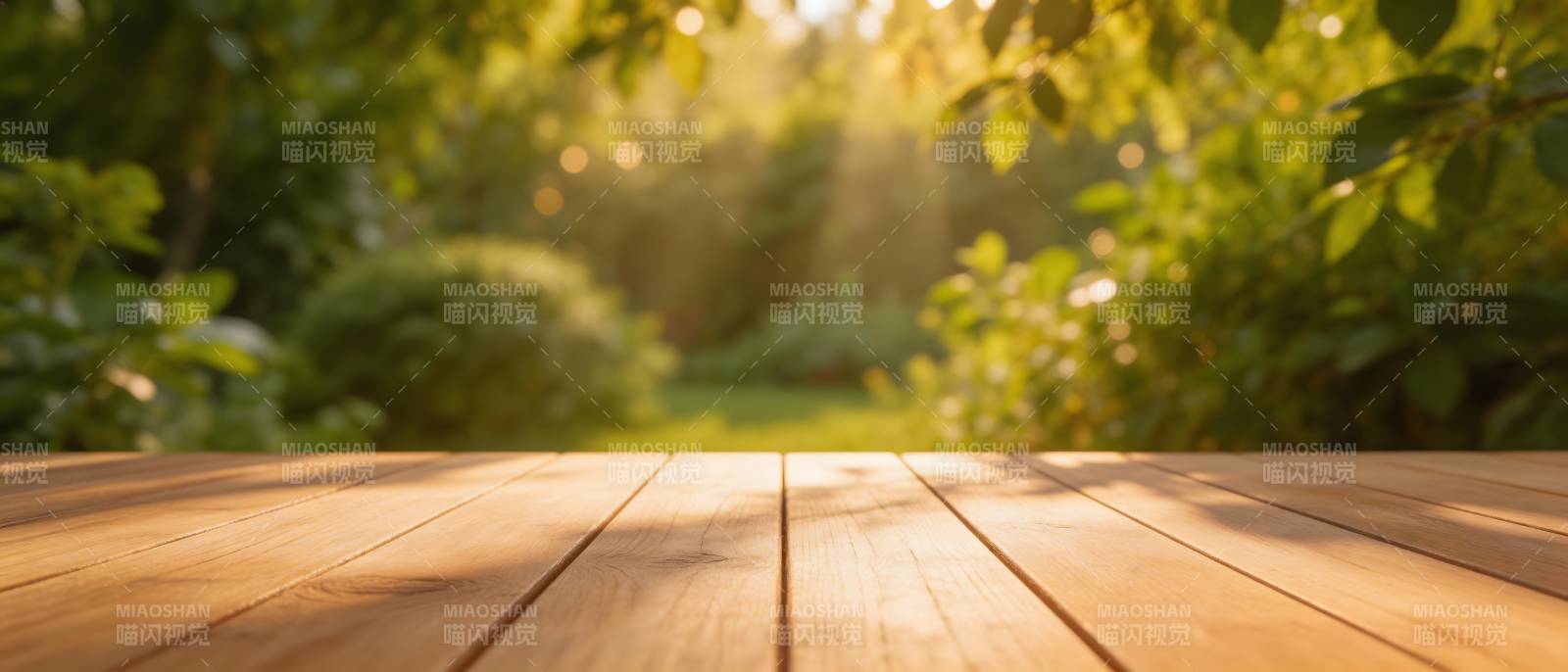 木桌迎晨光 绿意盎然景图片