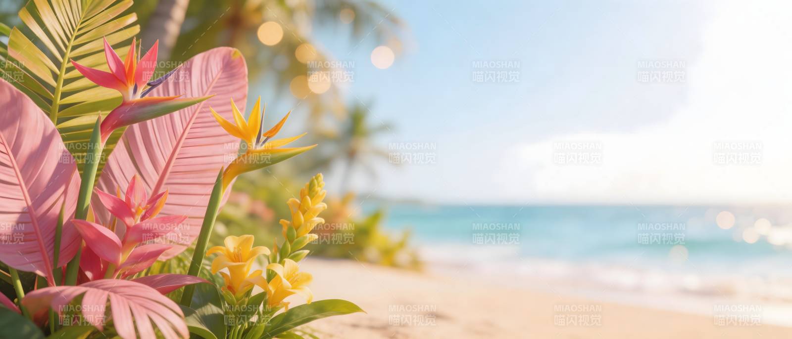 热带海滩花影摇曳图片