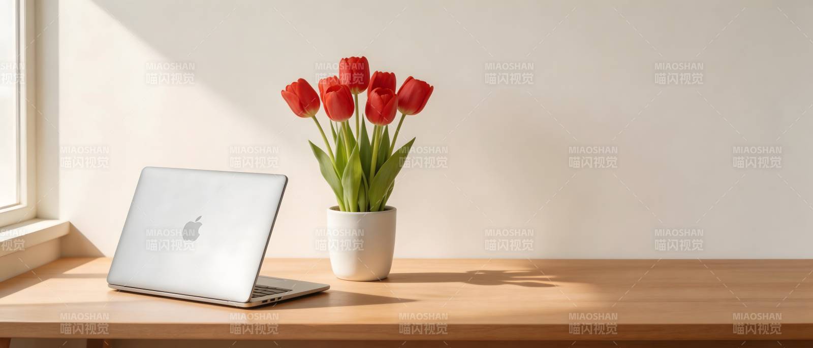 窗边红花伴银本 静好时光图片