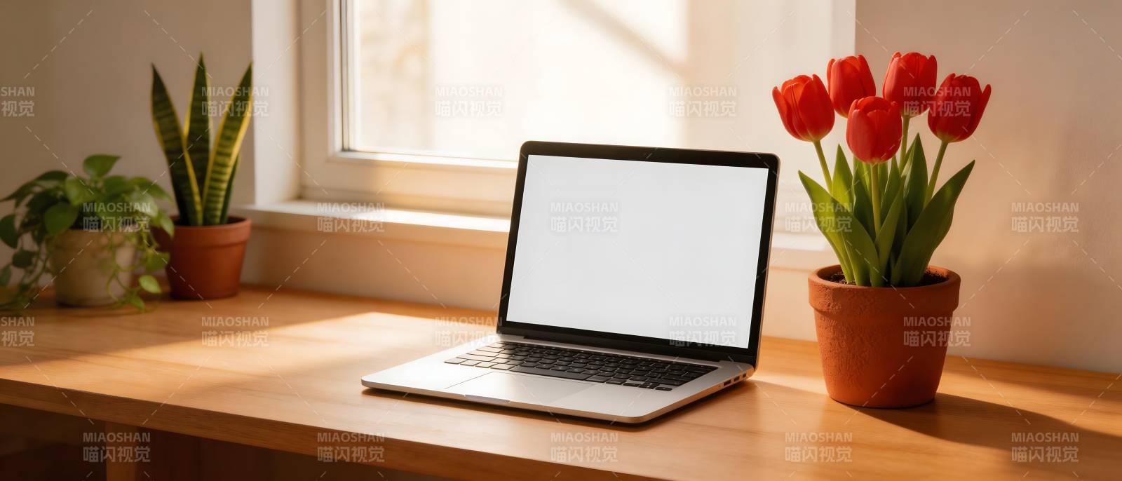 窗边笔记本与红花绿植相伴图片