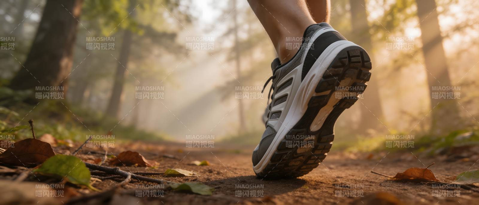 晨跑林间 步履轻盈迎朝阳图片