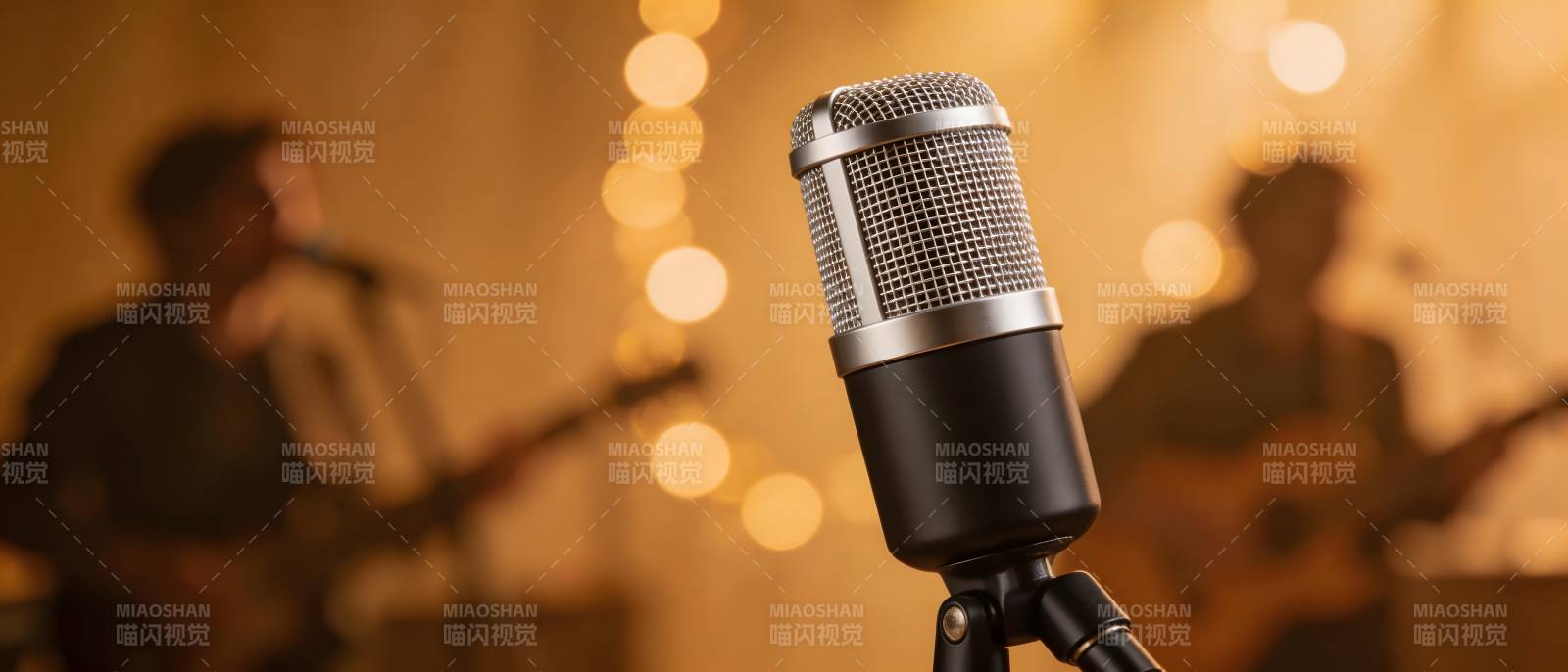 麦克风前的音乐现场图片