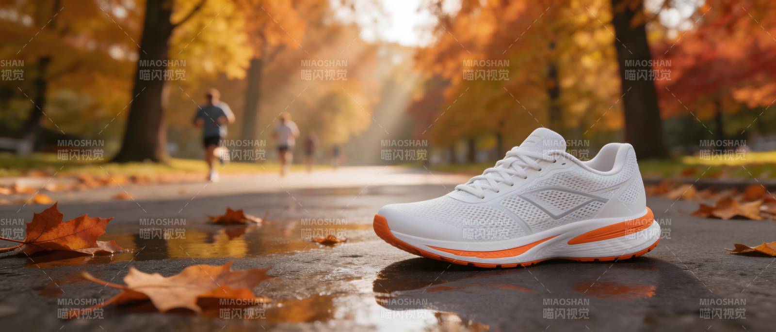 秋日跑鞋 落叶伴行图片