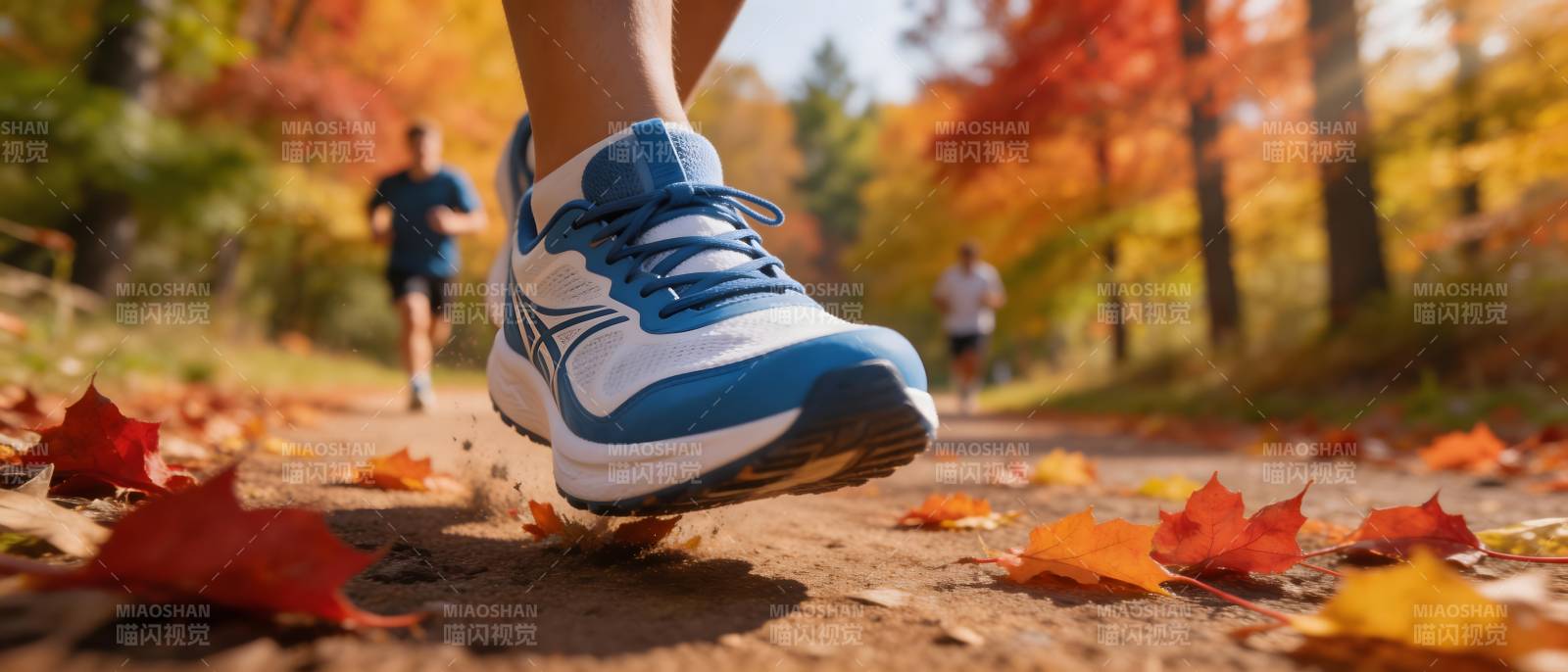 秋日林间奔跑足迹图片