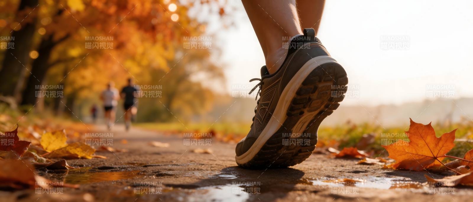 秋日慢跑 落叶铺径图片