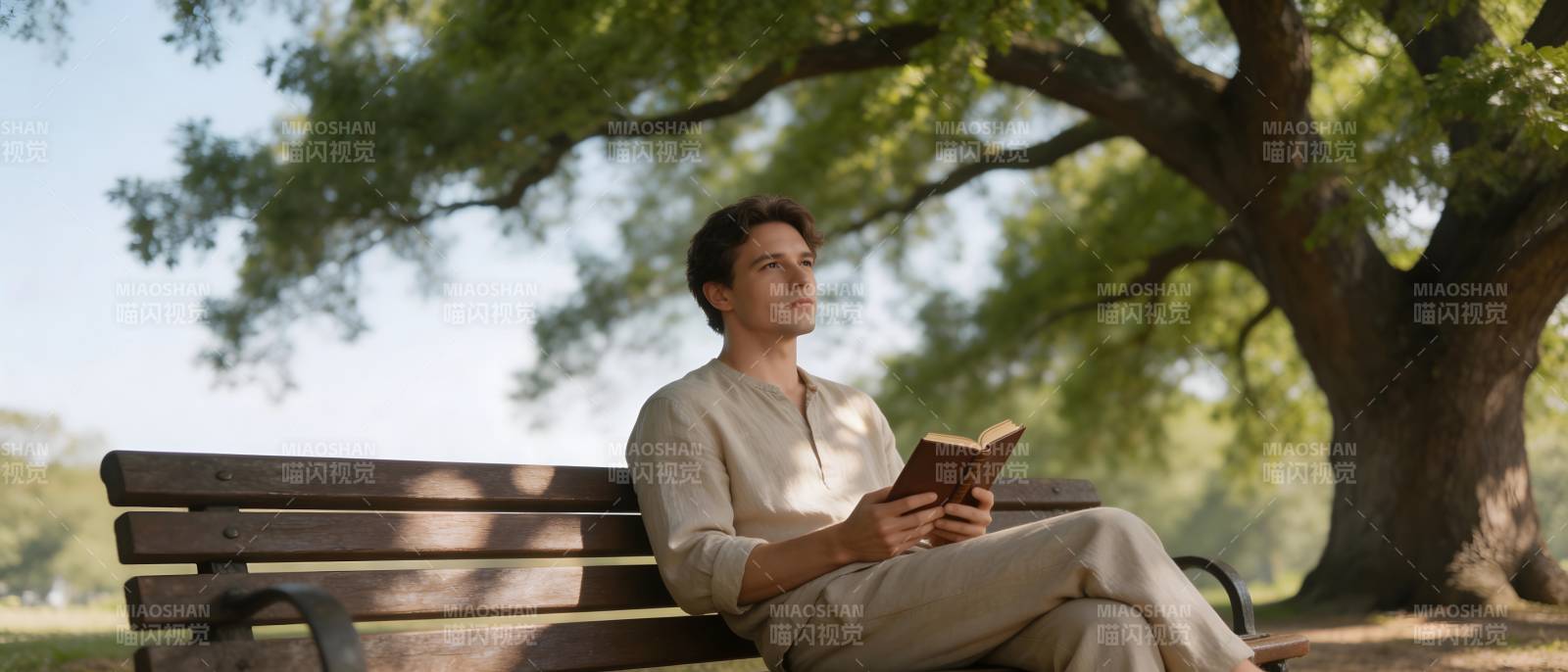 树荫下静读时光图片