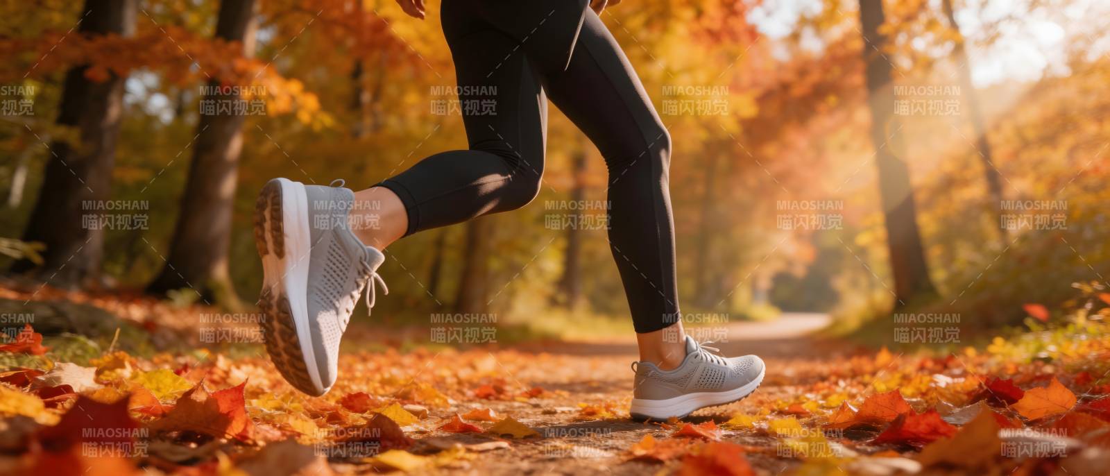 秋日林间奔跑图片