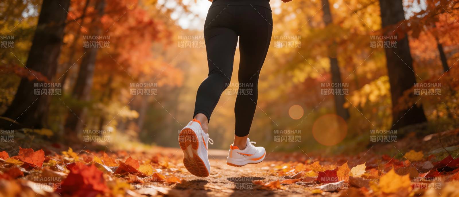 秋日林间奔跑图片