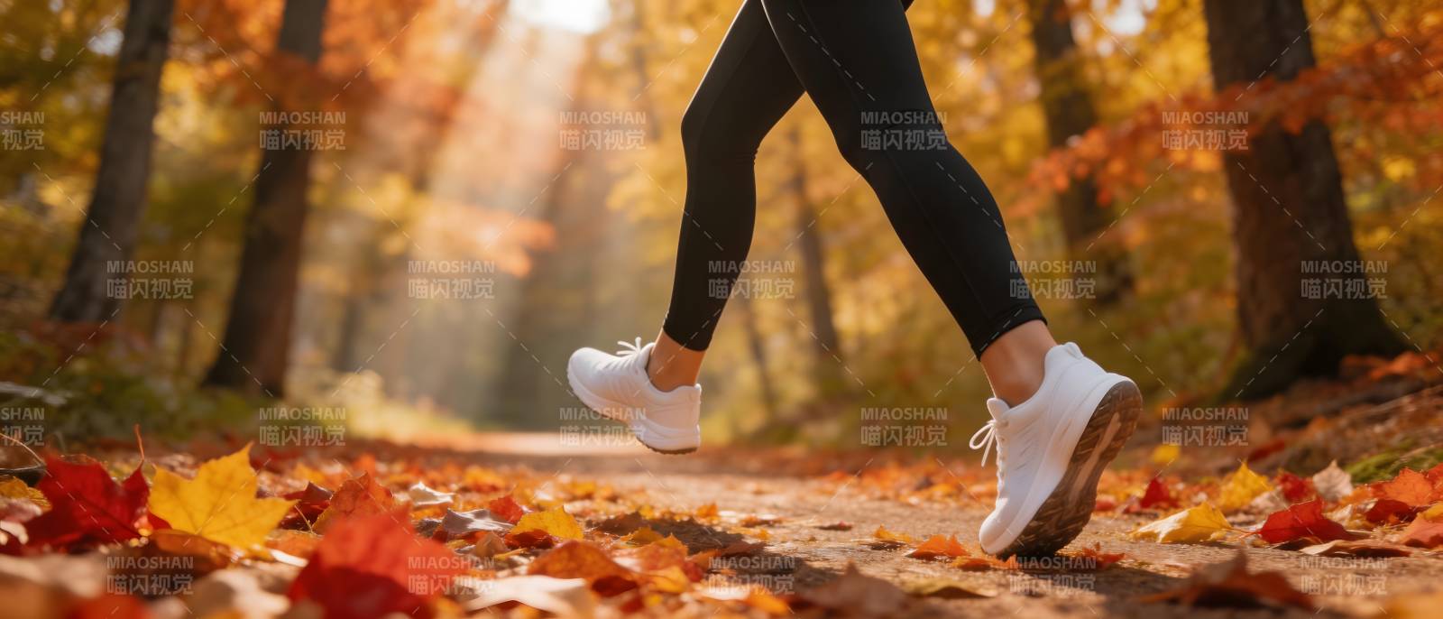 秋日林间慢跑图片