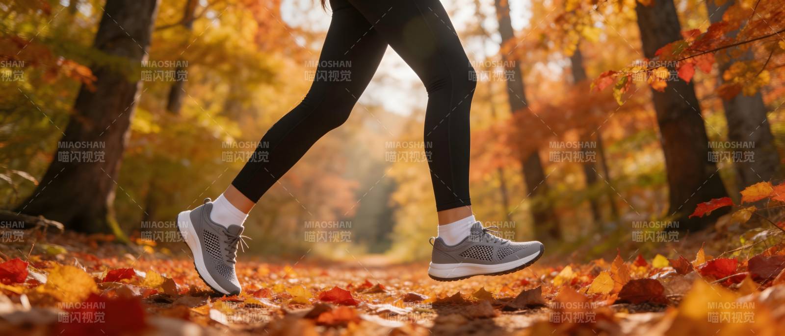 秋日林间慢跑图片