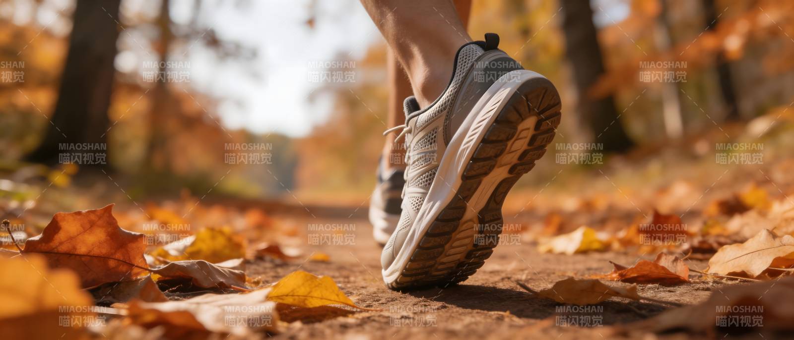 秋日林间漫步图片