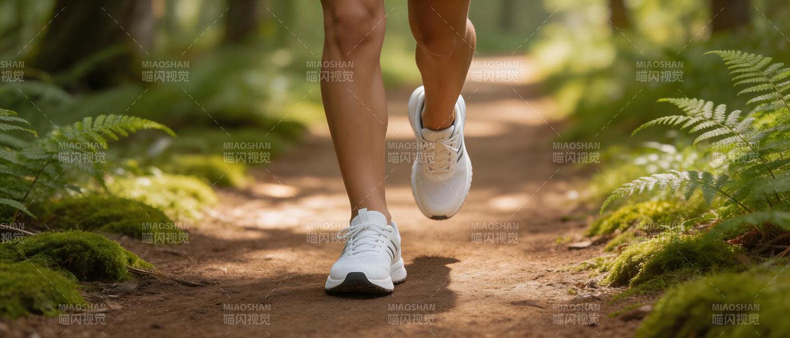 林间小径 轻盈奔跑图片