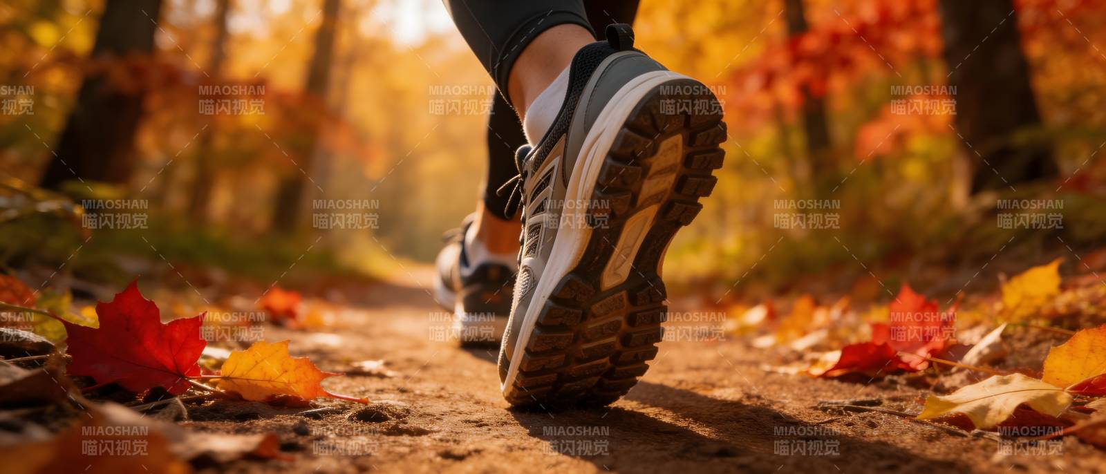 秋日林间跑步足迹图片