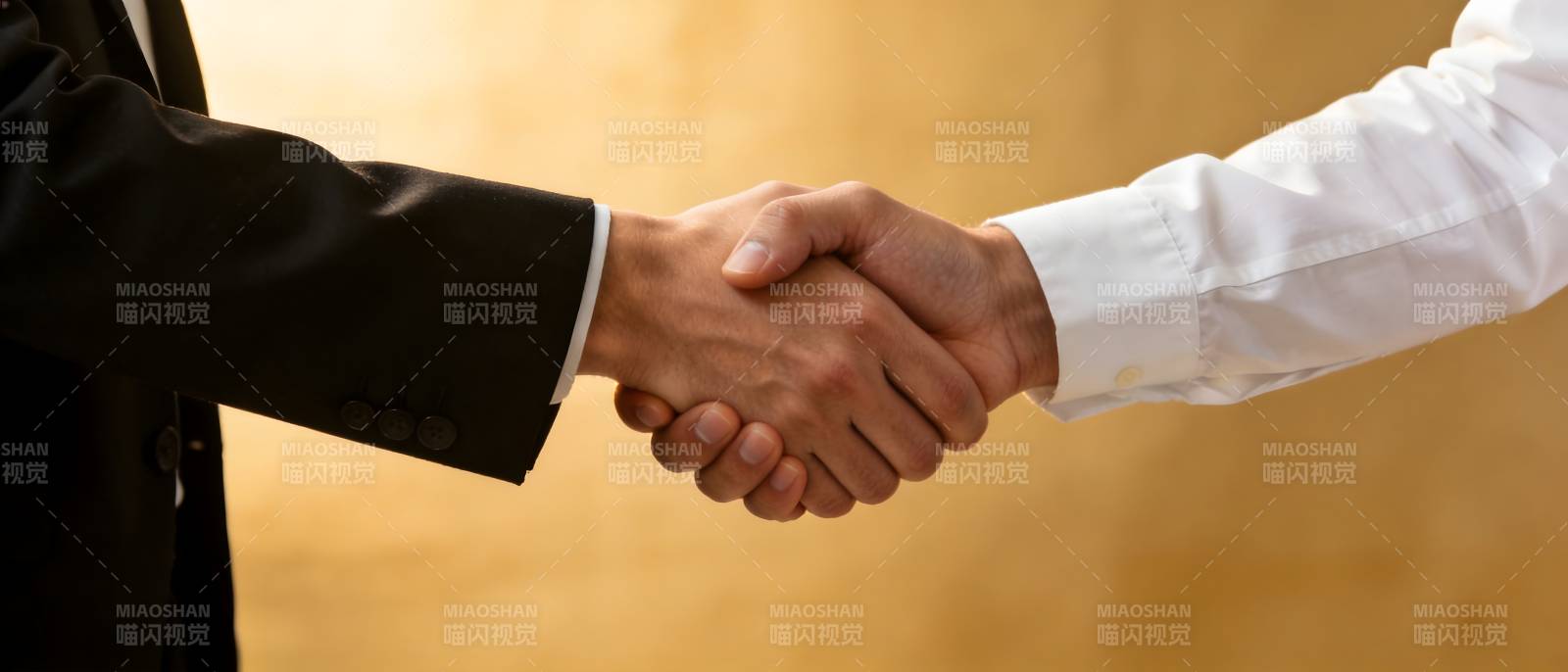 握手合作 共赢未来图片