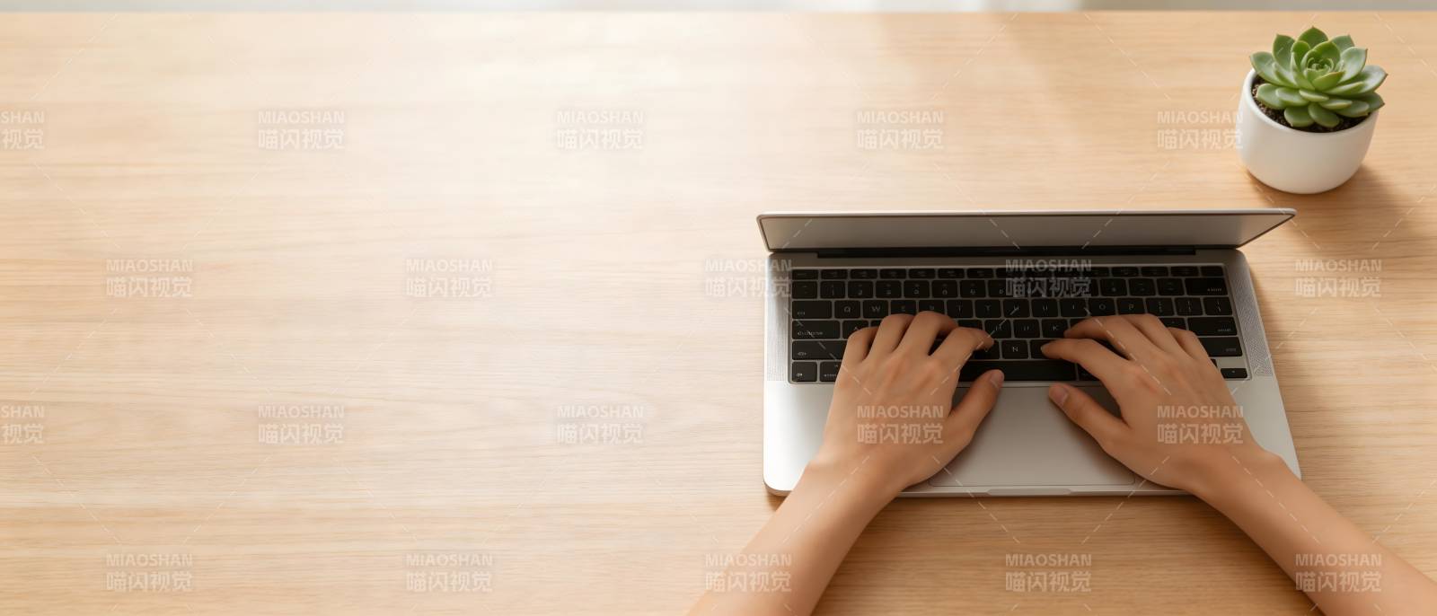 双手敲键盘 桌面有小盆栽图片
