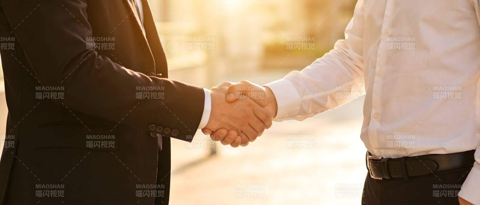 商务握手 合作达成图片