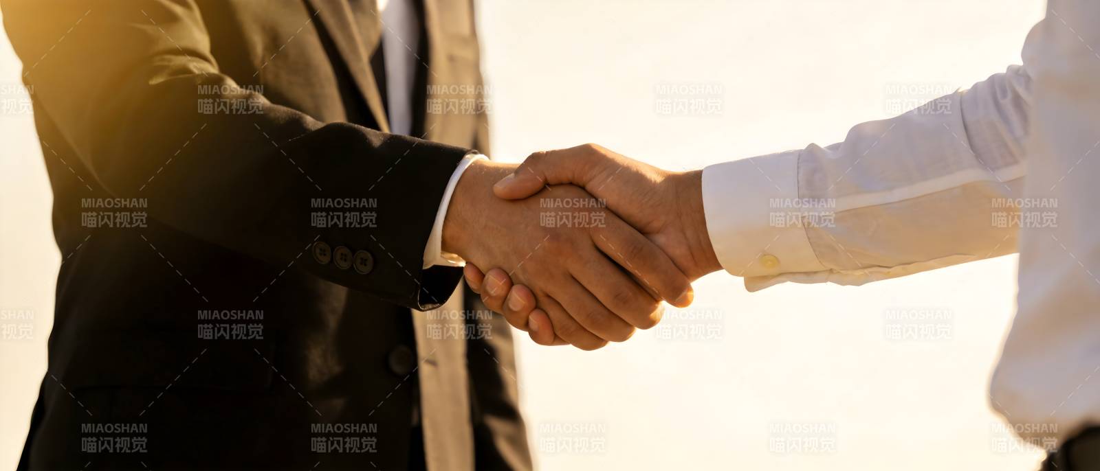 商务握手 合作达成图片