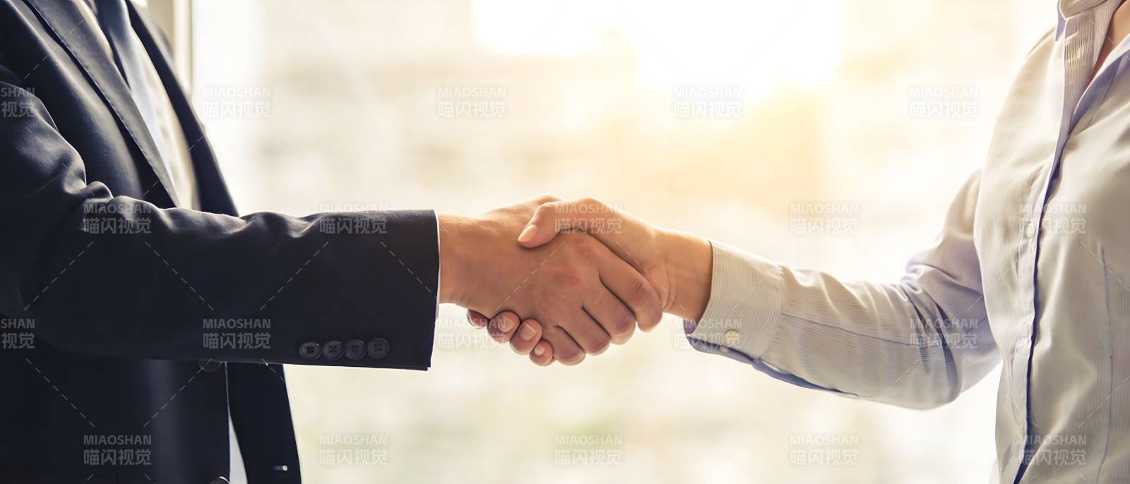 商务握手 合作达成图片