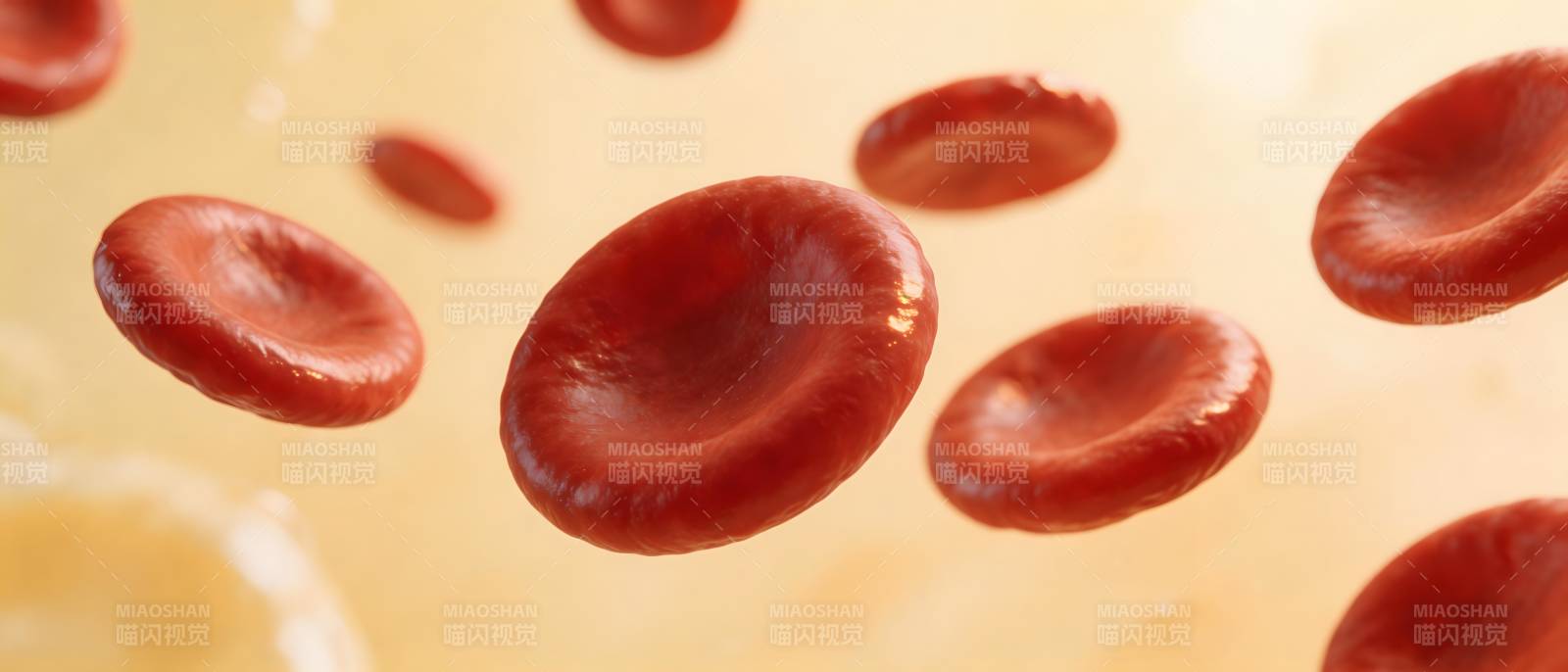 红细胞在血液中流动图片