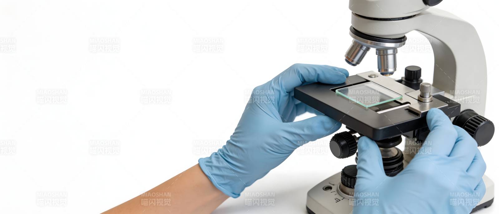 显微镜下观察样本图片