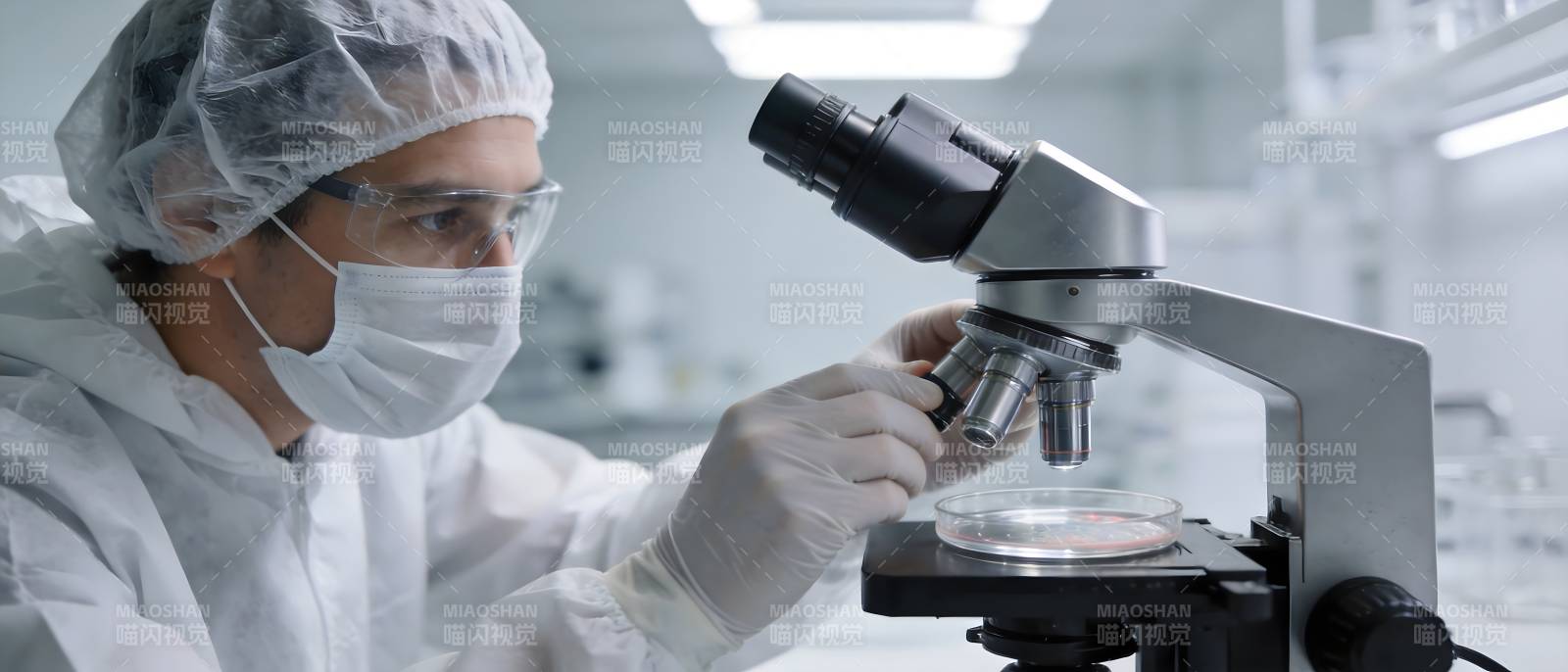 实验室显微镜观察样本图片